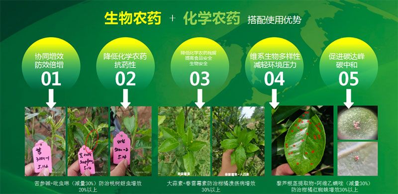 新朝陽在第六屆中國農藥行業(yè)市場和銷售高峰論壇做“生物農藥+化學農藥，引領植保市場未來”主題報告