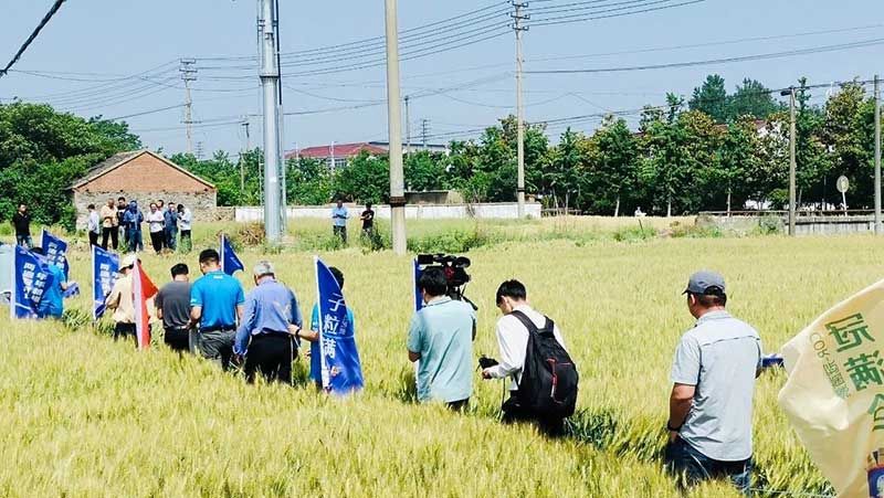 520健康植保日——擁抱綠色農(nóng)業(yè)，我們在行動