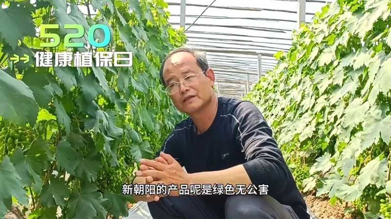 520健康植保日——擁抱綠色農(nóng)業(yè)，我們在行動