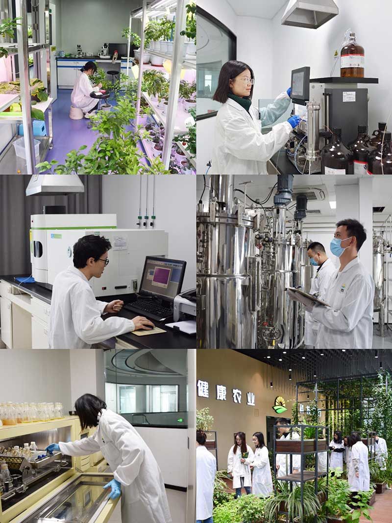 “全國科技工作者日”：推動農(nóng)業(yè)綠色高質(zhì)量發(fā)展，新朝陽科研人在路上