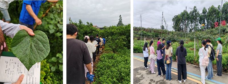 首個！中國農業(yè)大學攜手新朝陽啟動“朝陽稼穡計劃”